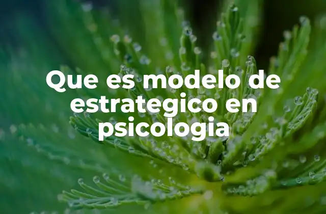 Que es Modelo de Estrategico en Psicologia
