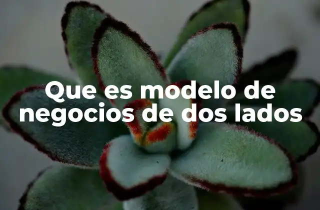 Que es Modelo de Negocios de Dos Lados