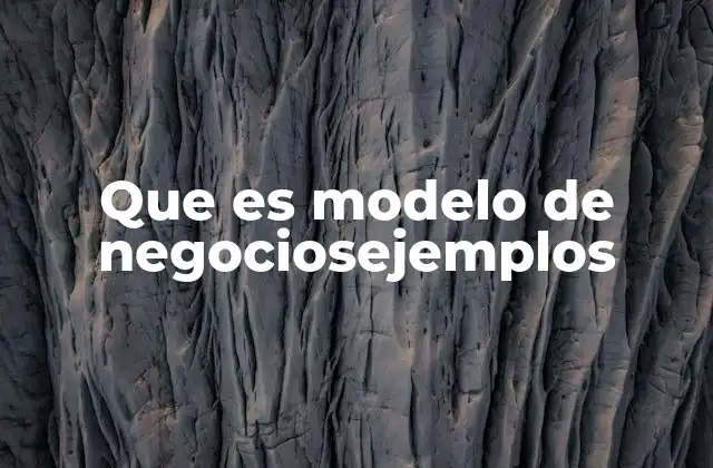 Que es Modelo de Negociosejemplos