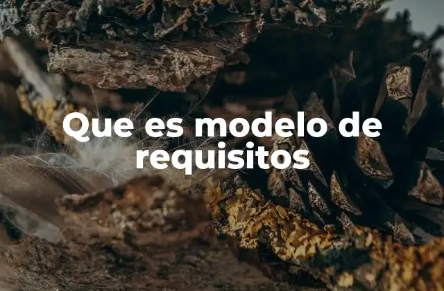 Que es Modelo de Requisitos 2 La importancia de estructurar los requisitos en modelos