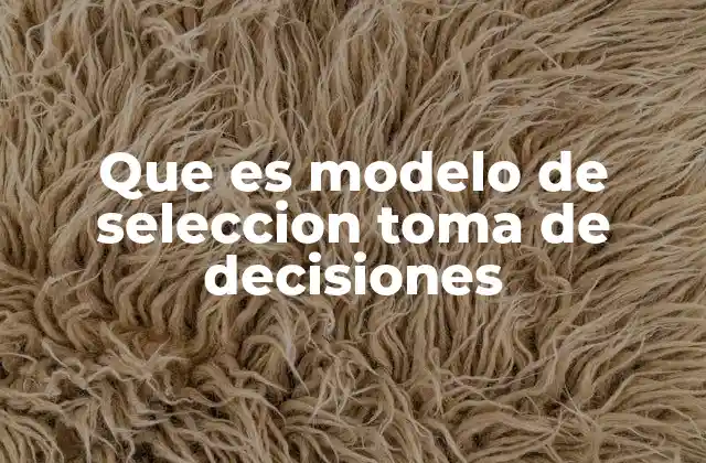Que es Modelo de Seleccion Toma de Decisiones