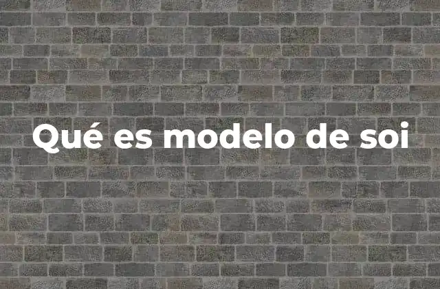 Qué es Modelo de Soi