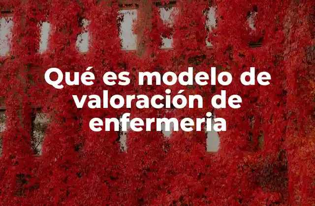 Qué es Modelo de Valoración de Enfermeria