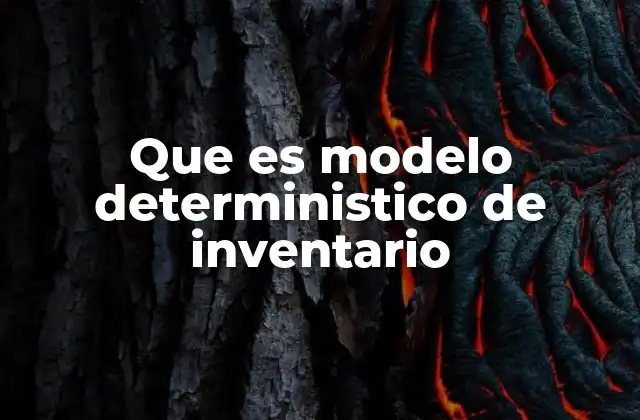 Que es Modelo Deterministico de Inventario