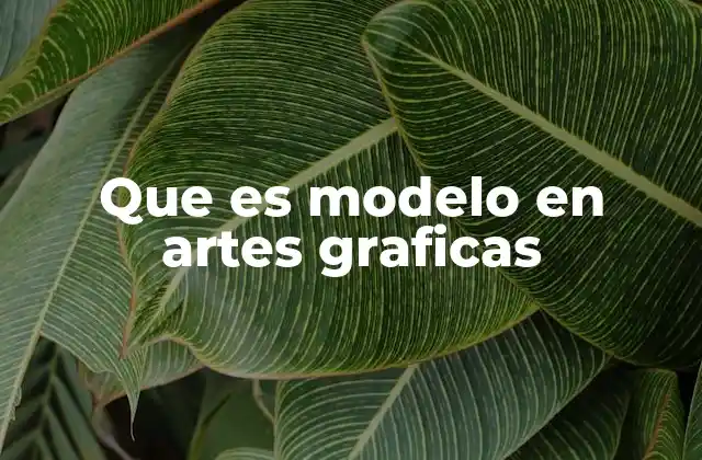 Que es Modelo en Artes Graficas