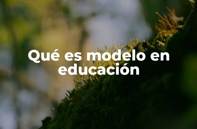 Qué es Modelo en Educación