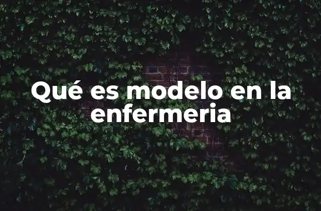 Qué es Modelo en la Enfermeria