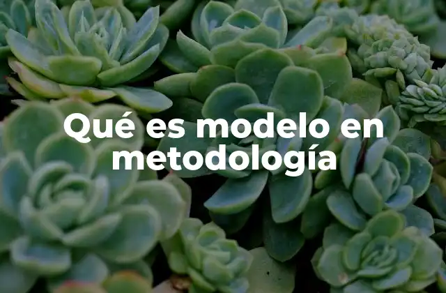 Qué es Modelo en Metodología