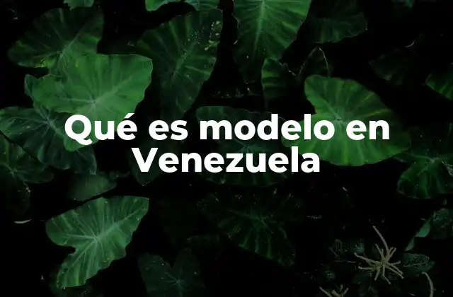 Qué es Modelo en Venezuela