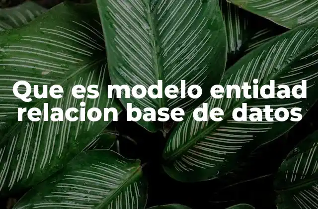 Que es Modelo Entidad Relacion Base de Datos