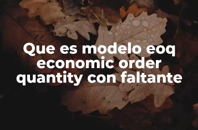 Que es Modelo Eoq Economic Order Quantity con Faltante