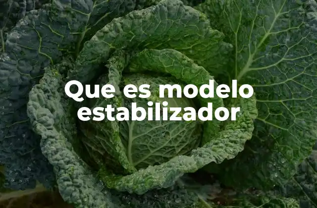 Que es Modelo Estabilizador