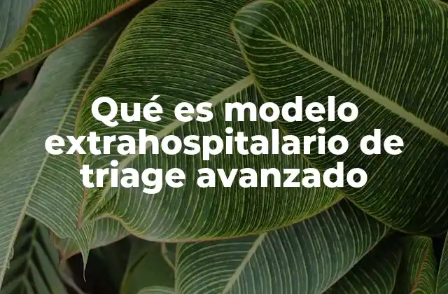 Qué es Modelo Extrahospitalario de Triage Avanzado