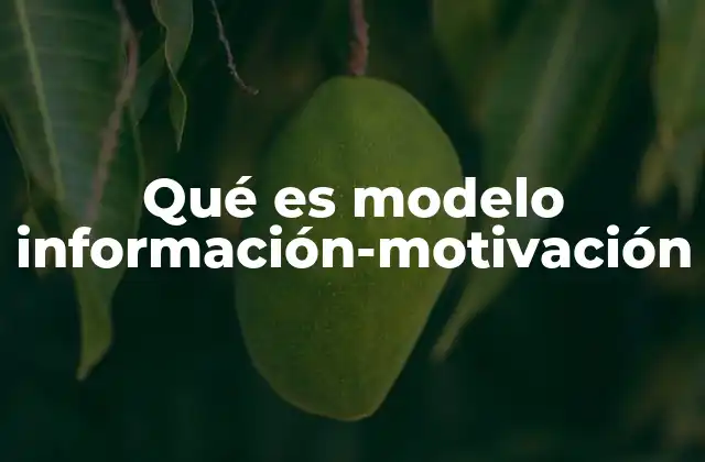 Qué es Modelo Información-motivación