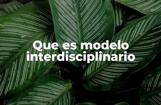 Que es Modelo Interdisciplinario