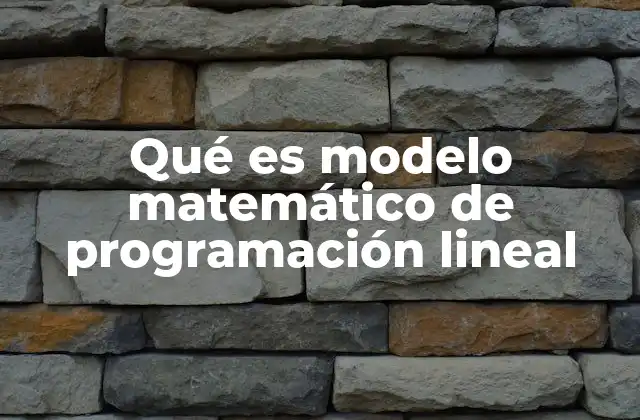 Qué es Modelo Matemático de Programación Lineal