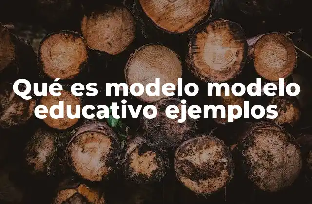 Los fundamentos de los modelos educativos