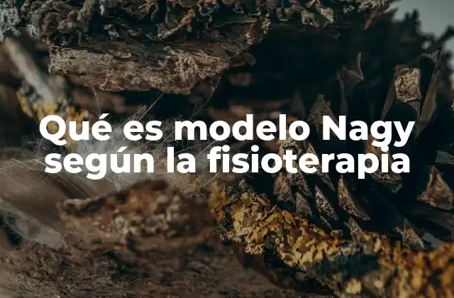 Qué es Modelo Nagy según la Fisioterapia