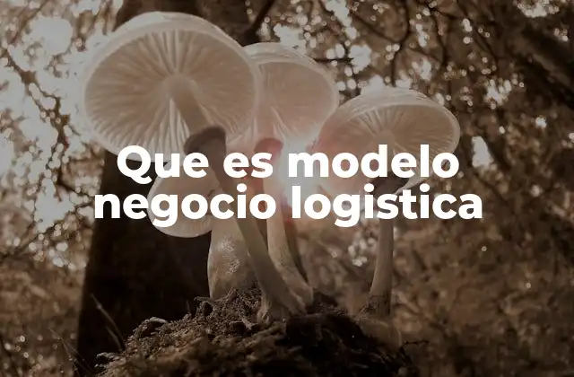 Que es Modelo Negocio Logistica