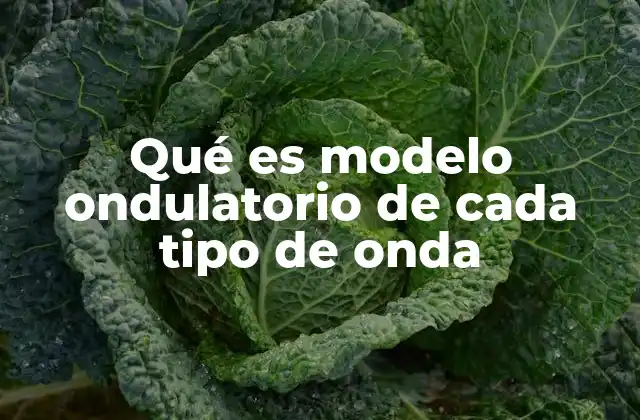 La importancia del modelo ondulatorio en la física moderna