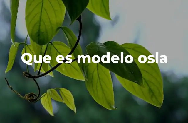Que es Modelo Osla 2 La importancia del modelo OSLA en el ecosistema digital
