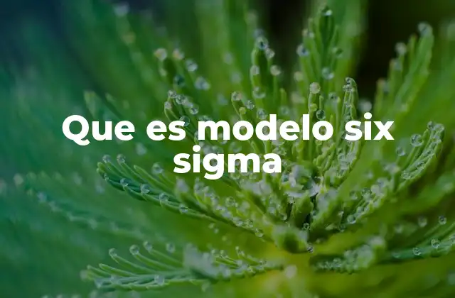 Que es Modelo Six Sigma