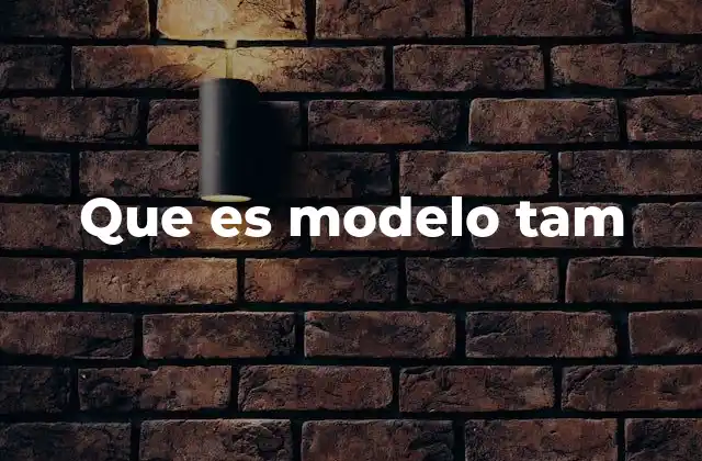 Que es Modelo Tam 2 Cómo se aplica el modelo TAM en el comportamiento del usuario