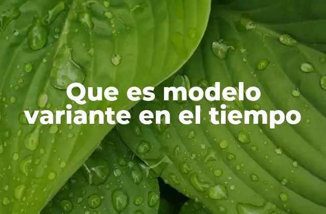 Que es Modelo Variante en el Tiempo