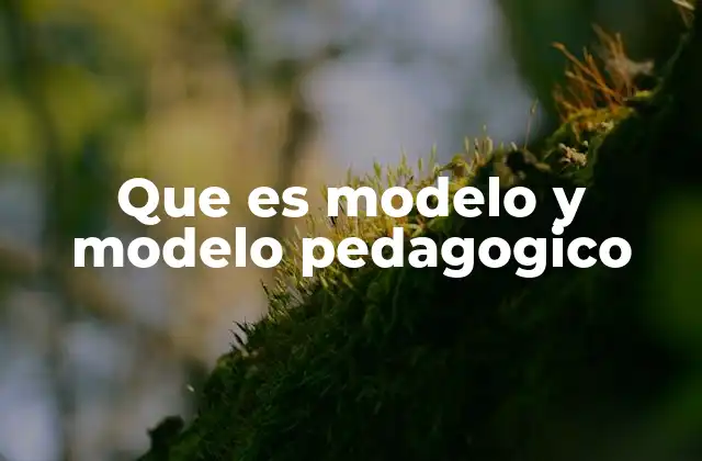 Que es Modelo y Modelo Pedagogico
