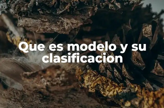 Que es Modelo y Su Clasificacion