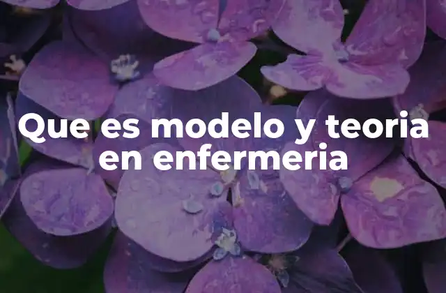 Que es Modelo y Teoria en Enfermeria
