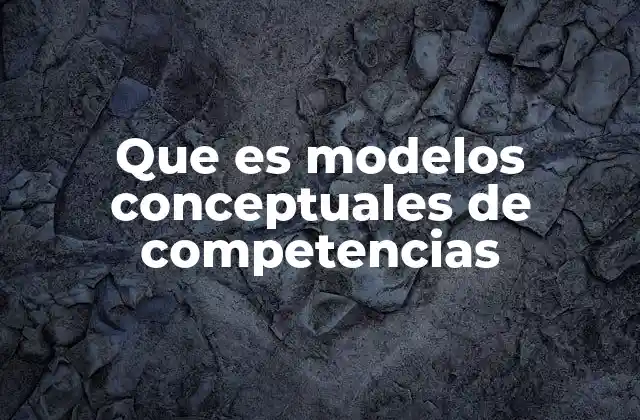 Que es Modelos Conceptuales de Competencias
