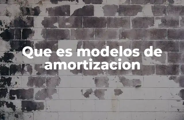 Que es Modelos de Amortizacion