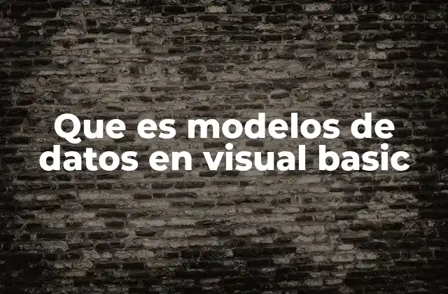 Que es Modelos de Datos en Visual Basic