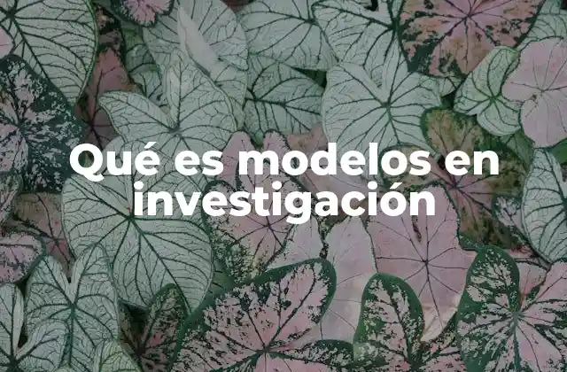 Qué es Modelos en Investigación