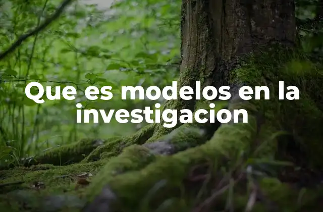 Que es Modelos en la Investigacion