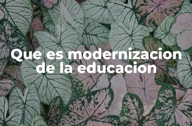 Que es Modernizacion de la Educacion