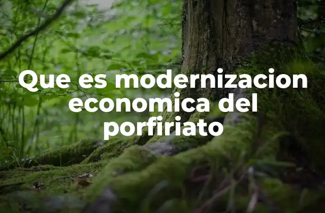 Que es Modernizacion Economica Del Porfiriato