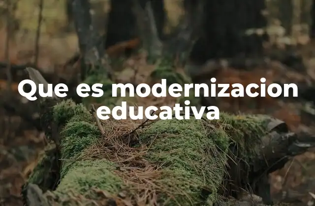 Que es Modernizacion Educativa
