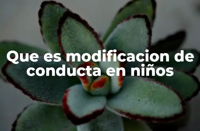 Que es Modificacion de Conducta en Niños