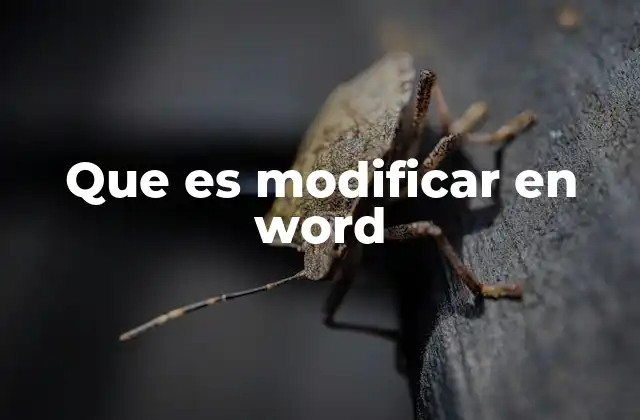 Que es Modificar en Word