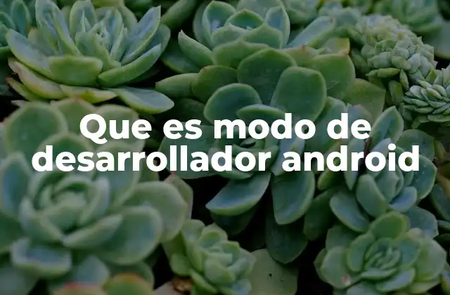 Que es Modo de Desarrollador Android