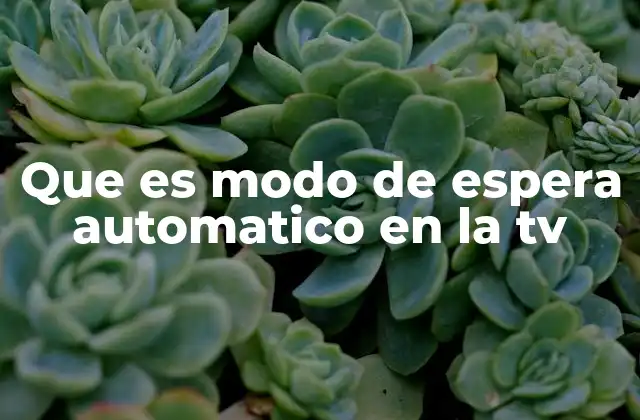 Que es Modo de Espera Automatico en la Tv 2 Cómo funciona el modo de espera automático en los televisores modernos