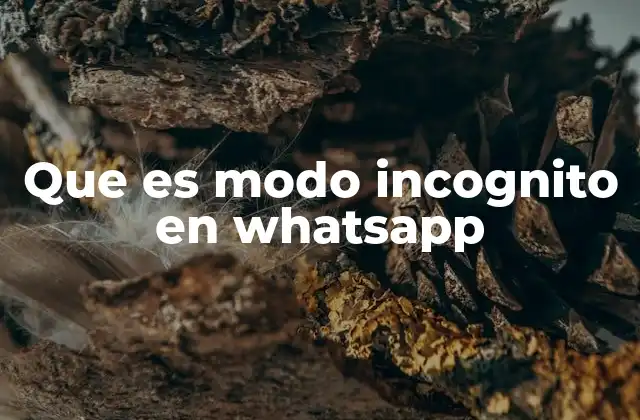 Que es Modo Incognito en Whatsapp 2 Cómo funciona la privacidad en WhatsApp sin mencionar directamente el modo incógnito