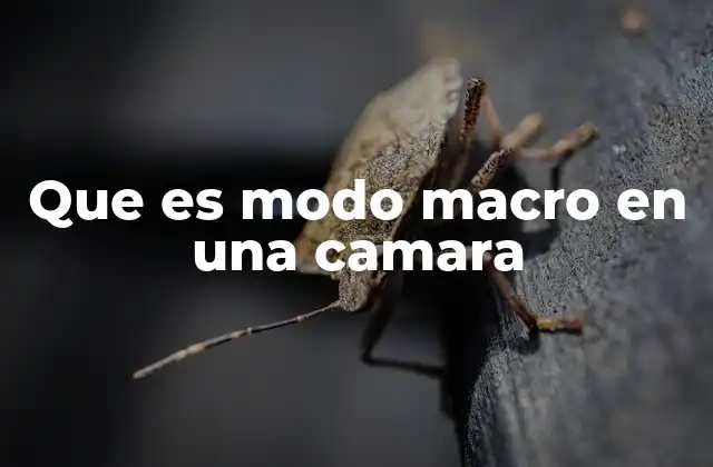 Que es Modo Macro en una Camara