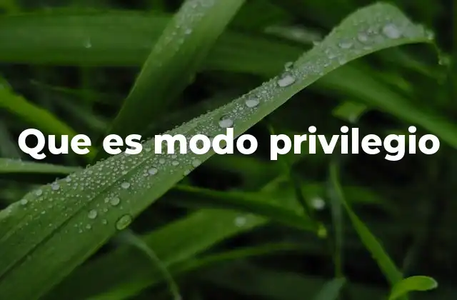 Que es Modo Privilegio