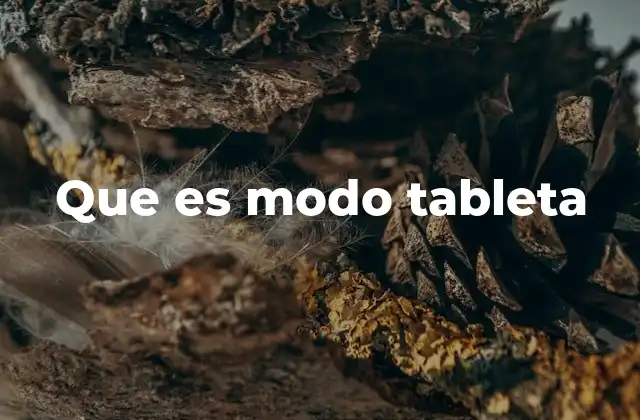 Que es Modo Tableta