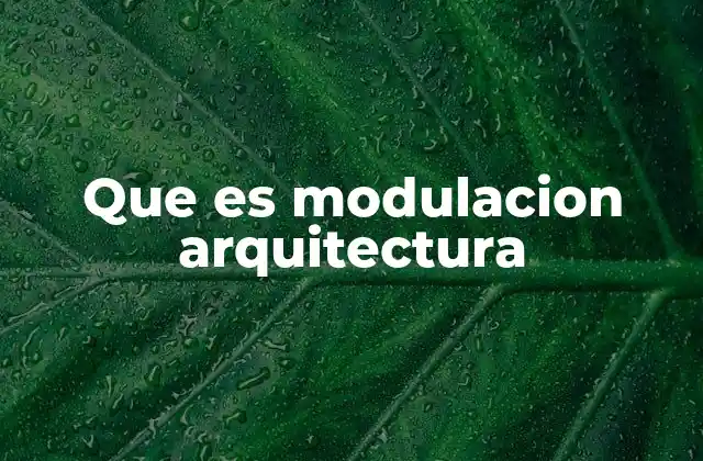 Que es Modulacion Arquitectura