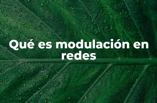 Qué es Modulación en Redes