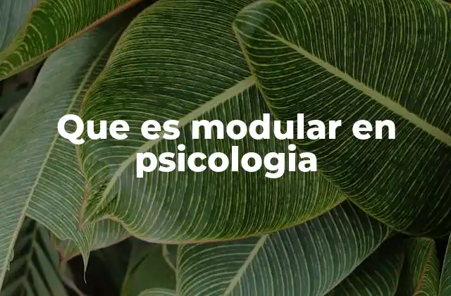 Que es Modular en Psicologia